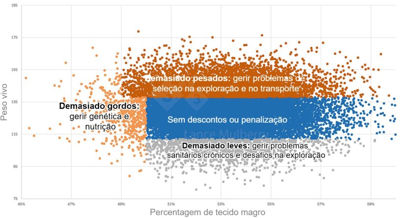 Figura 1: Os dados do matadouro, combinados com outros dados como a nutri&ccedil;&atilde;o, o estado de sa&uacute;de, a explora&ccedil;&atilde;o de reprodu&ccedil;&atilde;o, etc., podem ajudar a identificar as causas da varia&ccedil;&atilde;o, bem como as medidas necess&aacute;rias para as resolver.
